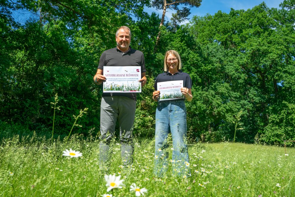 Zwei GEWOBAU Mitarbeiter auf der Blühwiese mit Schild